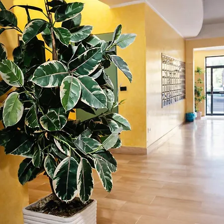 Holiday home Marina E Lucio Bright San Paolo Metro Near Colosseum 4 Guests Rome